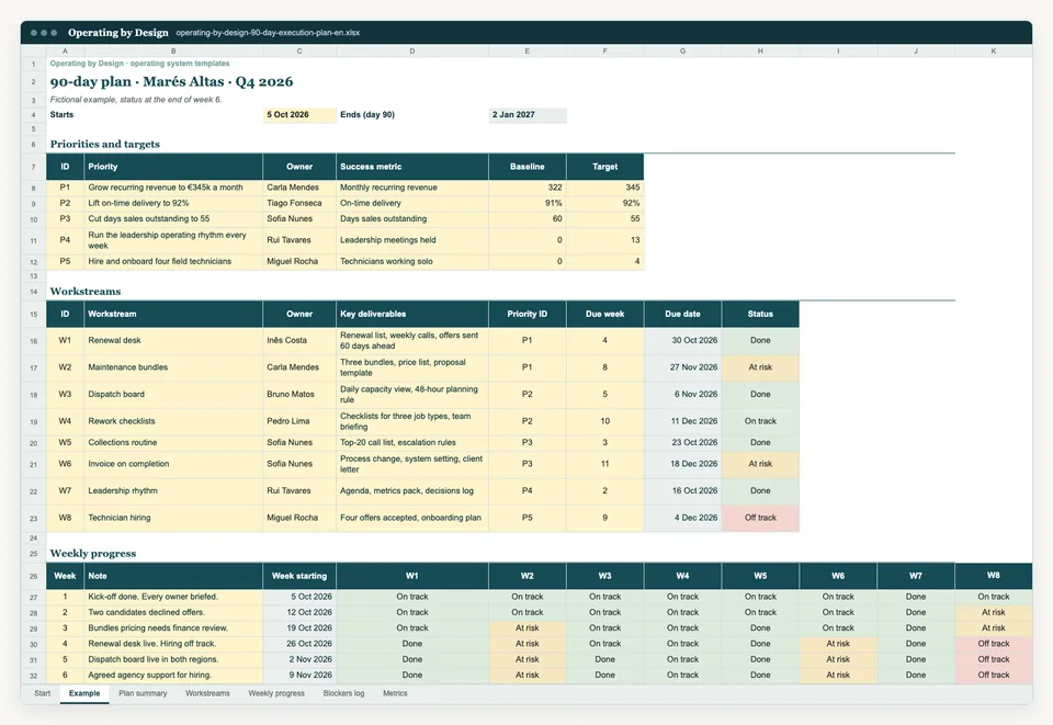 Screenshot of the Example sheet in the Excel template.