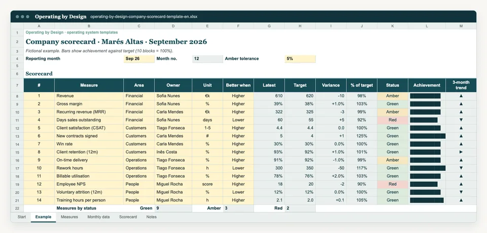 Screenshot of the Example sheet in the Excel template.