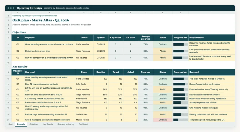 Screenshot of the Example sheet in the Excel template.