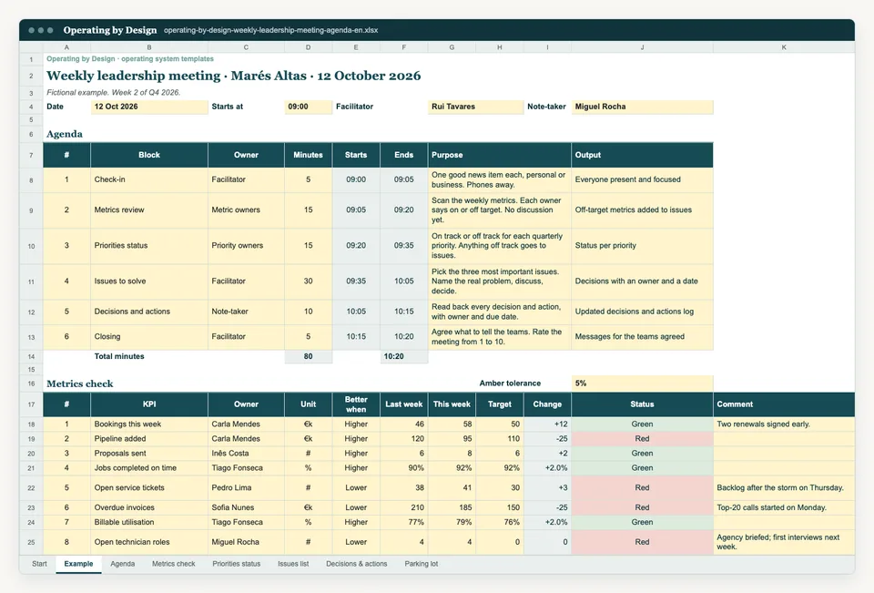Screenshot of the Example sheet in the Excel template.